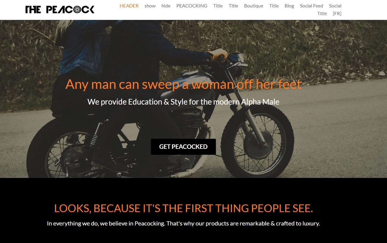 The Peacock品牌定位 The Peacock品牌定位